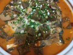 -陈厨(新苑小区店)