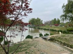 -西安浐灞国家湿地公园