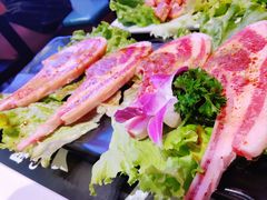 羊排-杨记齐齐哈尔烤肉(五莲路店)