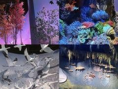 -中国湿地博物馆