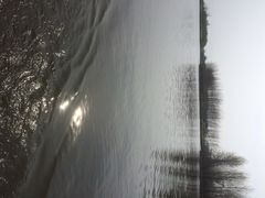 iphone_upload_pic-溱湖国家湿地公园