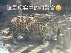 -攀枝花公园