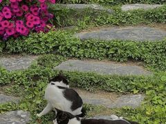 -天津盘山风景名胜区