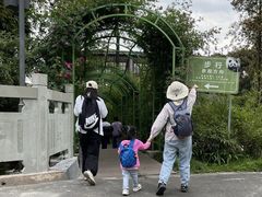 -中国大熊猫保护研究中心雅安碧峰峡基地