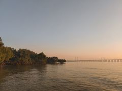 -宝安西湾红树林湿地公园