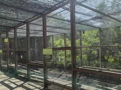 -欢乐松鼠谷