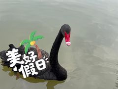 -宁波杭州湾国家湿地公园