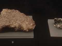 -盘龙城国家考古遗址公园