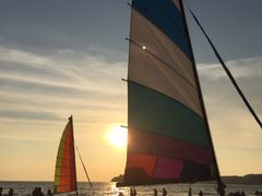 -真浪花园海鲜餐馆