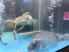 -九洲喜来登酒店湖月日餐厅