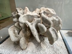 -中国湿地博物馆