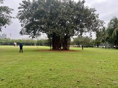 -白沙门生态公园