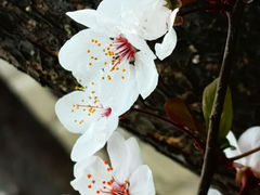 -朝阳公园
