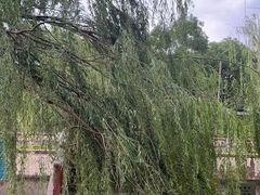 -元大都城垣遗址公园