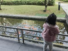 -南宁荔园维景国际酒店·荔园中餐厅