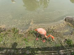 -上方山森林动物世界