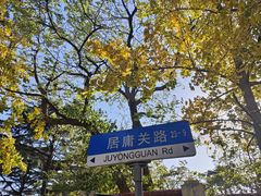 -八大关景区