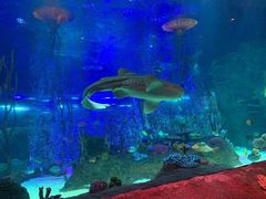 -沈阳海洋探索中心