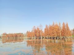 -白鹭湾湿地公园