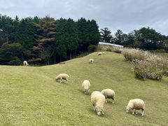 -神户市立六甲山牧场