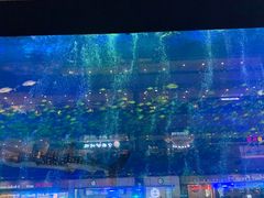 -成都浩海立方海洋公园