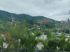 -海南槟榔谷黎苗文化旅游区