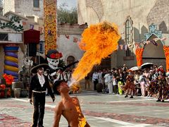 -大连海昌发现王国主题公园