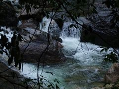 -黄山翡翠谷景区