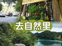 -武陵山森林公园