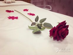 -香榭丽舍·海菲秀·皮肤管理痘敏肌修护