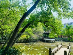 -上海醉白池公园