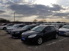 -野生动物园-停车场