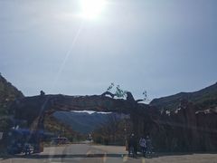 -龙道沟景区