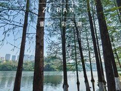 -重庆彩云湖湿地公园