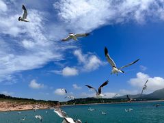 -海驴岛(荣成市)