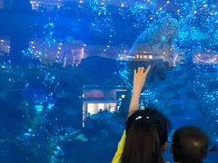 -成都浩海立方海洋公园