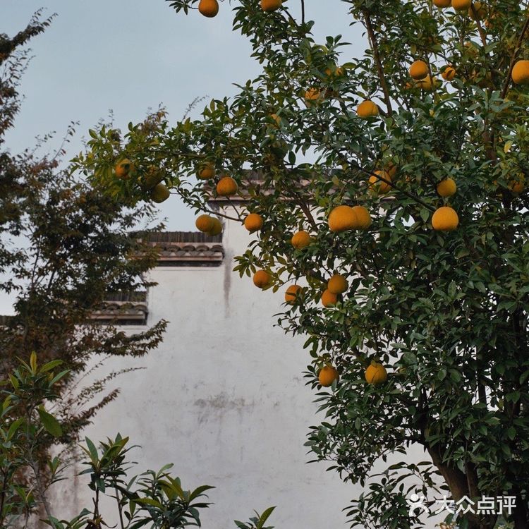 沉浸式古风体验，乘船入住