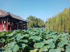 -济南大明湖景区