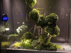 -唐宫足道·SPA·影院会馆(木渎店)