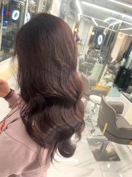 -潘多拉Hairsalon