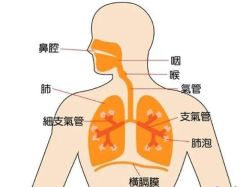 -姜美堂·蒸姜除湿の纤体美颜馆