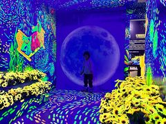 -梵高星空艺术馆(北京旗舰店)