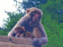 -山西通天峡景区
