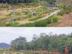 -东莞植物园