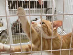 -伟伟宠物医院·CT影像中心·瑞派犬猫综合性门诊(汉口总院)