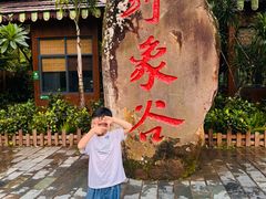 -野象谷景区