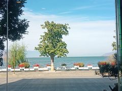 -野菌皇海景野生菌火锅(滨海大道店)