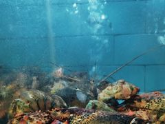 -老街渔味馆(芳华店)