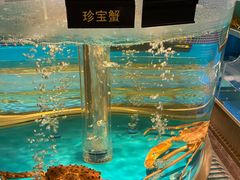 -沈灶河豚宴·河豚融合餐厅(汉中路店)