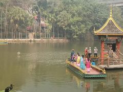 -西双版纳原始森林公园